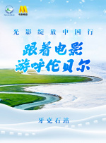 驯服有夫之妇